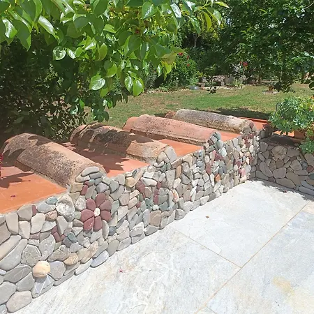Reginaserena تْشيرتالدو