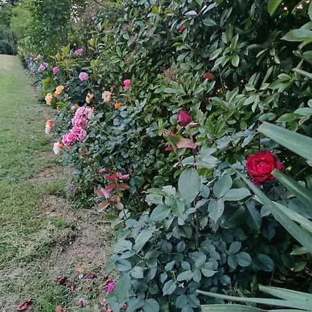 Reginaserena شقة تْشيرتالدو