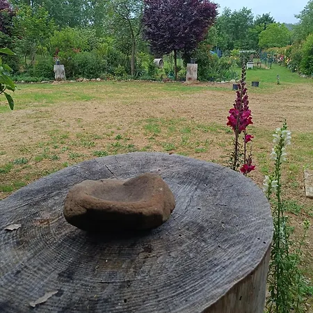 Apartamento Reginaserena
