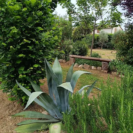 Reginaserena Apartamento Certaldo