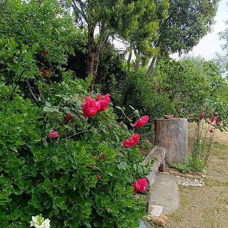 Reginaserena شقة *